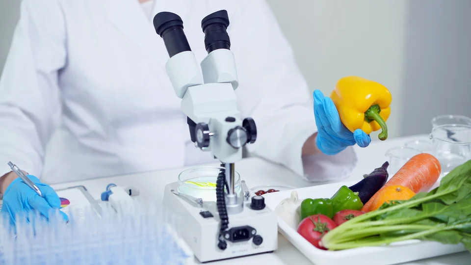 Seriöse Ernährungswissenschaft erkennen